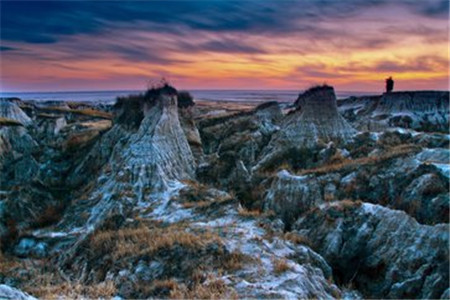 自考本科 本科文凭