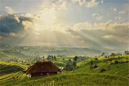 自考报名 自考本科 专科毕业证