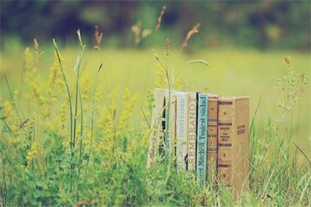 吉林自考 吉林自考考试