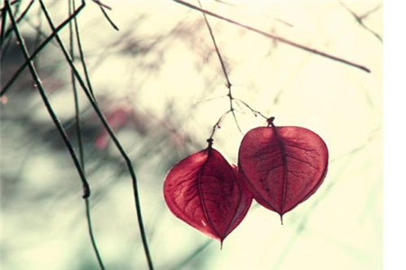 我这个年龄参加吉林自考，会不会太晚了？！