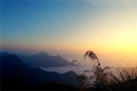 吉林自考《新闻学》试题及答案（六）（1.31）