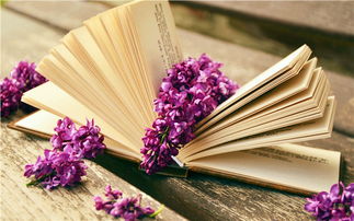 吉林自考历年真题都考过了，还会再出吗？