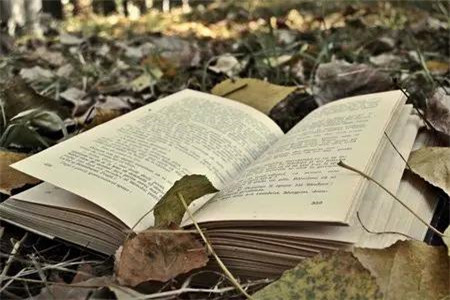 2020年上半年吉林自考转考办理时间已确定！