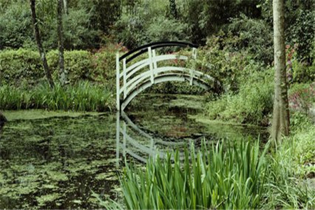 吉林自考本科的毕业证和学位证有什么区别?