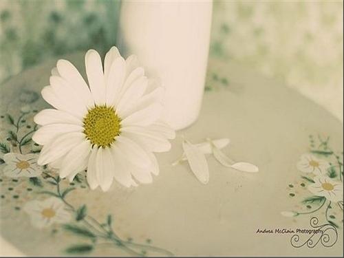 2020年上半年白山市自考转考办理时间已确定!