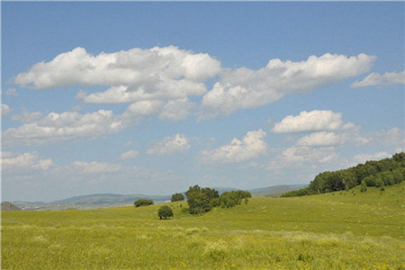 吉林自考主考院校怎么选?