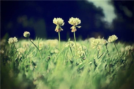 2020年上半年吉林省自学考试毕业办理要求!