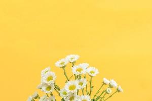 2020年上半年四平市自考本科毕业申请办理收费标准