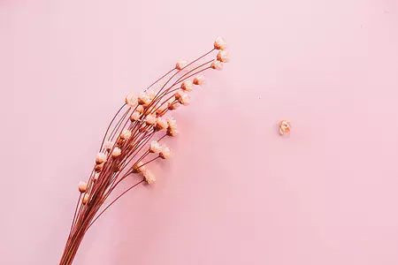 2020年上半年白山市自考本科毕业申请办理收费标准