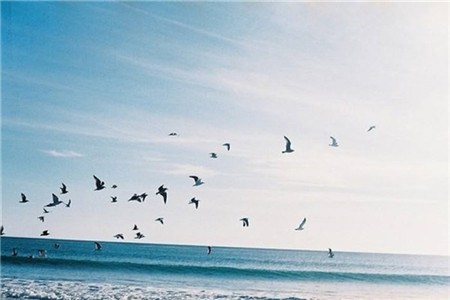 2020年上半年四平市自学考试考试时间!