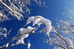 考前冲刺：2020年8月吉林自考英语二必背作文(1)