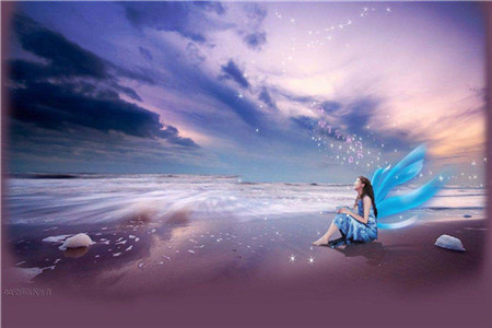 吉林自考本科学历可以考会计证吗?